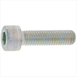 Rakuten - ■SUNCO ステンCAP(日産ネジ 20×40 (20本入) A002000N0200040000(2412134)[送料別途お見積り][法人限定][掲外取寄]
