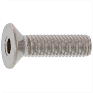 ■SUNCO SUSサラCAP(HSK 光精工 10×25 (100本入) A002200H0100025000(2413881)[送料別途お見積り][法人..