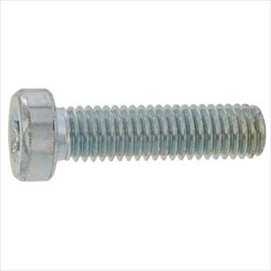 ■SUNCO ステンレス TRXローヘッドCAP 4×25 (500本入) A002LT000040025000(2416129)[送料別途お見積り][法人限定][掲外取寄]