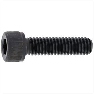 ■SUNCO ステンCAP(ウィット 1/4 X 12 (200本入) A00200028020012000(2436206)[送料別途お見積り][法人限定][掲外取寄]