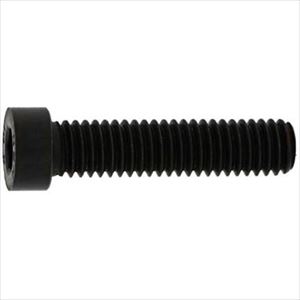 ■SUNCO 小頭ローヘッドCAP 6×10 (500本入) A000L0500060010000(2437335)[送料別途お見積り][法人限定][掲外取寄]