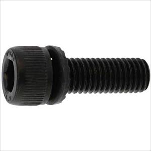 ■SUNCO 10.9GT-S CAP 5 X 10 (500本入) A0009S000050010000(2437635)[送料別途見積り][法人・事業所限定][掲外取寄]