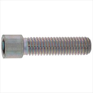 ■SUNCO 三価ブラック 小頭CAP 12×25 (80本入) A00000500120025004(2472025)[送料別途お見積り][法人限..