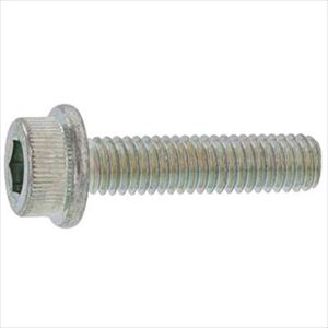 ■SUNCO ユニクロ フランジソケット 日本ファスナー製 6×25 (200本入) A000300F0060025001(2480406)[送料別途お見積り][法人限定][掲外取寄]