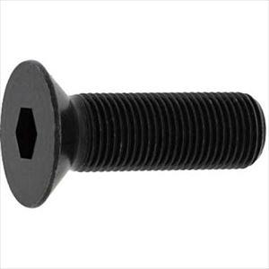 ■SUNCO BC サラCAP(細目 P−1.25 10×40 (100本入) A00020040100040010(2491162)[送料別途お見積り][法人限定][掲外取寄]