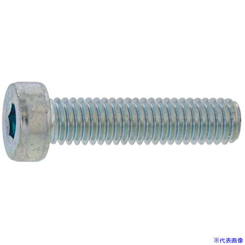 ■SUNCO ローヘッドCAP 4×30 (400本入) A000L0000040030000(2711121)[送料別途お見積り][法人限定][掲外取寄]