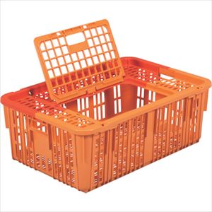 ■サンコー 鳥篭4型TC 109000(本体+プラ網蓋+中蓋) SKTKG4TCOR(3241714)×5[送料別途お見積り][法人限定]..