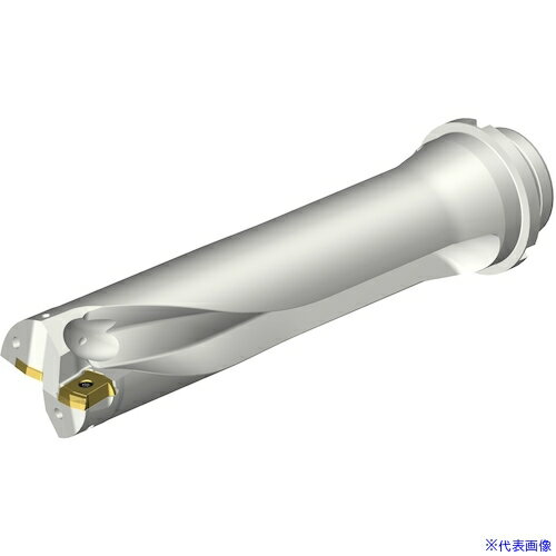 ■SANDVIK コロドリルDS20刃先交換式ドリル(465) DS20D5200DM5004(3398909)[送料別途お見積り][法人限定][メーカー取寄]