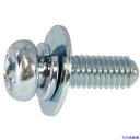 ■SUNCO 組込みねじ (+)ナベP=3(丸先(鉄(または標準)・ニッケル) M3×8(190本入) 100050030030008005190P(34242...
