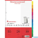 ■maruman B5 ラミタブ見出し10山 LT5010(3466306)