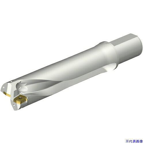 オレンジブック トラスコ中山　TRUSCOSANDVIK コロドリルDS20刃先交換式ドリル(465) 〔品番:DS20D5900L5004〕[ 注番:3509394]特長●ダブルステップテクノロジーによりスムーズな食いつきで加工が開始されます。●独自のフルート設計でスパイラル＋直線フルートを採用しています。●フルート断面形状は台形断面の中心刃と外周刃フルートで異なった形状をしています。●チップ設計：中心刃・外周刃とも4コーナー使用できます。●ダブルクーラントホール：クーラント穴をトップに配置しているため、切屑排出を高めます。用途●穴あけ用。仕様●切削径DC(mm)：59●使用可能長さLU(mm)：237.5891●機械側接続径DCONMS(mm)：50●適合インサート：DS20-07・・・P、DS20-07・・・C仕様2●4つの穴あけ加工において信頼性、安定性、卓越した加工能力を実現する刃先交換式ドリル●円筒平取り付きシャンク●内部給油式●ミリバージョン材質/仕上セット内容/付属品注意原産国（名称）スウェーデンJANコード本体質量4.146kgオレンジブック トラスコ中山　TRUSCOSANDVIK コロドリルDS20刃先交換式ドリル(465) 〔品番:DS20D5900L5004〕[注番:3509394][本体質量：4.146kg]《包装時基本サイズ：370×100×100》〔包装時質量：4kg〕分類》切削工具》旋削・フライス加工工具》刃先交換式ドリル☆納期情報：メーカー取り寄品（弊社より発送）