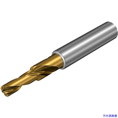 樂天商城 - ■SANDVIK コロドリル860‐GM 超硬ソリッドドリル(720) X1BM 860.20550018A1GM(X1BM)(3509549)[送料別途お見積り][法人限定][メーカー取寄]
