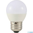 ■スワン 提灯灯LEDランプ SWBG450L(3599942)
