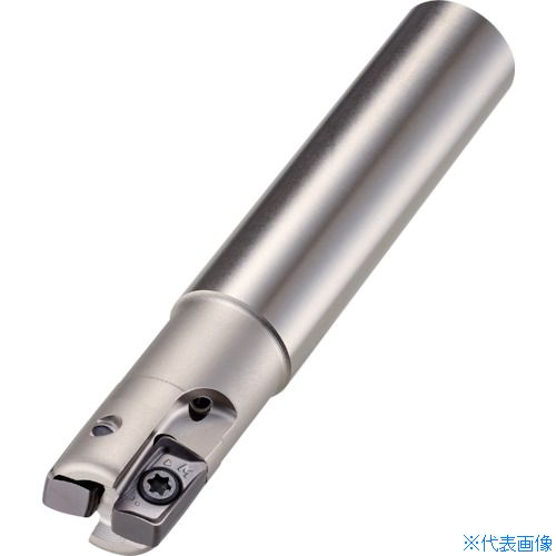 å ȥ꡼ BODY EXSAP303270S32(BODY)(3625963)[ӤѤ][ˡ͸...