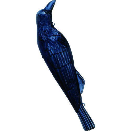 ■ミツギロン 防鳥用 コワガラス 高さ495mm EG-18 KGB(3759661)