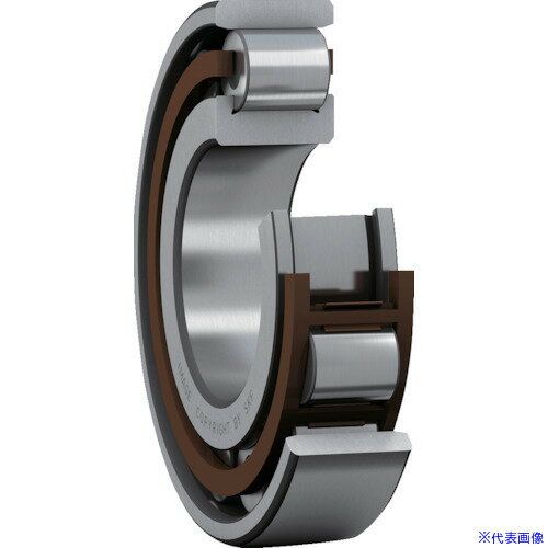 SKF ñ N 95mmX170mmX32mm N219ECP(3905026)[ӸѤ][ˡ͡Ƚ][᡼]