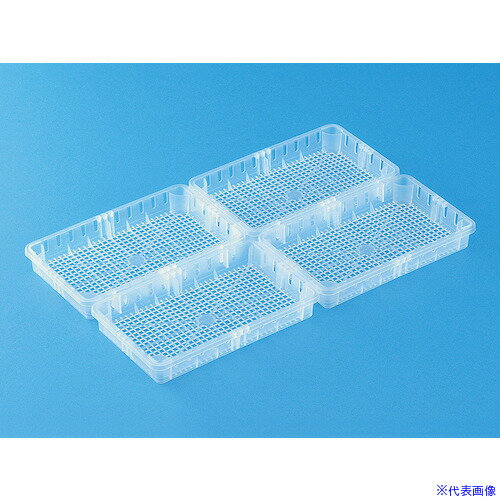 �����󥳡� �����ʥ�������4P-2���� 100208 10020800WHNA(3926675)[�������Ӥ����Ѥ�][ˡ�͸���][��ľ��]