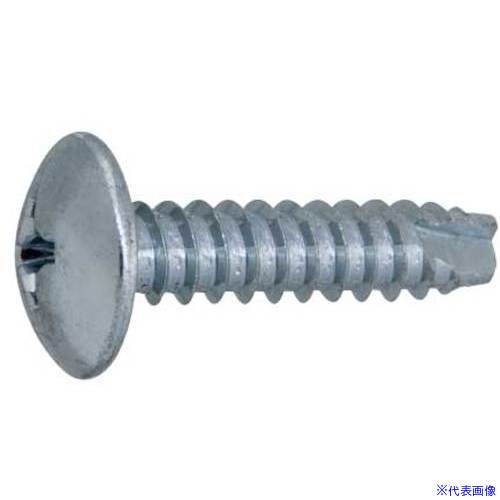 オレンジブック トラスコ中山　TRUSCOSUNCO GB ステン(+)B1トラス 5 X 12 (40本入) 〔品番:21020003005001200740P〕[ 注番:3958595]特長仕様●寸法(mm)d：M5●寸法(mm)L：12仕様2材質/仕上●ステンレス(303、304、XM7等)●GB(茶ブロンズ)セット内容/付属品注意原産国（名称）日本JANコード4549388158980本体質量49.5gオレンジブック トラスコ中山　TRUSCOSUNCO GB ステン(+)B1トラス 5 X 12 (40本入) 〔品番:21020003005001200740P〕[注番:3958595][本体質量：49.5g]分類》金物・建築資材》ねじ・ボルト・ナット》タッピングねじ☆納期情報：メーカー取り寄品（弊社より発送）