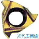 ■NOGA Carmexねじ切り用チップ 仕上げ刃なし 6×0.5-1.25 48-20山×55° 06IRA55BXC(4033779)×10