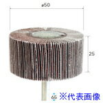 ���ʥ��˥� �ե�åץ������ 2���� ��50��25�߼�6 #120 49334(4076476)[�������Ӹ��Ѥ�][ˡ�͡����Ƚ����][�ǳ����]