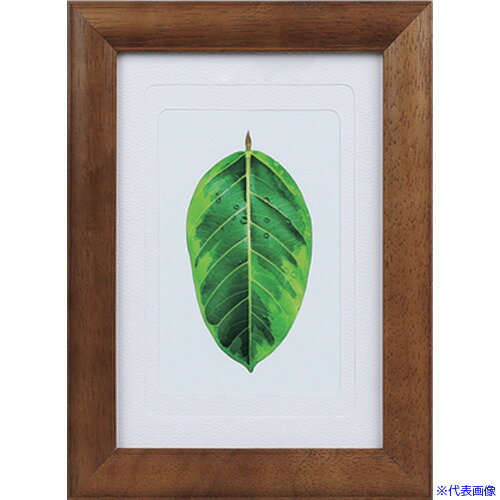 ■Kenko 1250173 写真立て ゴムの木 ブラウン PS−GM−BR PSGMBR(4141029)