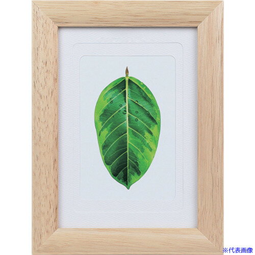 ■Kenko 1250172 写真立て ゴムの木 ナチュラル PS−GM−NA PSGMNA(4141073)