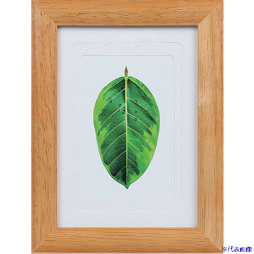 ■Kenko 1250174 写真立て ゴムの木 チーク PS−GM−TI PSGMTI(4144167)