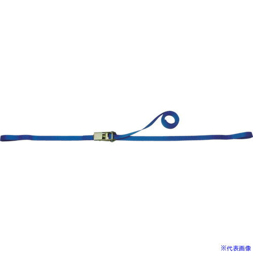 ■TESAC ラッシングベルト(ベルト荷締機)ラチェットバックル式アイタイプ R05E010030A(4333969)