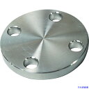 ■FLOBAL SUS304 10K 閉止フランジ 14100571 SUS10KBLFF20A(4445830)