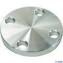 ■FLOBAL SUS304 5K 閉止フランジ 14100555 SUS5KBLFF25A(4446020)