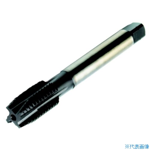 オレンジブック トラスコ中山　TRUSCOSANDVIK コロタップ200 ポイントタップ(780) C145 〔品番:T200MM100IAM6〕[ 注番:4611688]特長●CoroTap 200は、通り穴の加工で切りくずを前方へ押し出すよう設計されたポイントタップです。製品レンジにはさまざまな被削材に対応する広範なタップや特定の被削材やアプリケーション用に最適化されたタップが含まれています。用途●貫通穴用。●ステンレス鋼用。仕様●精度：6H●呼び寸法：M6●ピッチ(mm)：1●ねじ長さ(mm)：15●全長(mm)：66●シャンク径(mm)：6.3●シャンク四角部(mm)：シャンク四角部(mm)●下穴径(mm)：5●表面処理：FeN●溝数：3仕様2材質/仕上セット内容/付属品注意原産国（名称）スウェーデンJANコード本体質量7.7gオレンジブック トラスコ中山　TRUSCOSANDVIK コロタップ200 ポイントタップ(780) C145 〔品番:T200MM100IAM6〕[注番:4611688][本体質量：7.7g]《包装時基本サイズ：75×15×15》〔包装時質量：18g〕分類》切削工具》ねじ切り工具》ポイントタップ☆納期情報：メーカー取り寄品（弊社より発送）