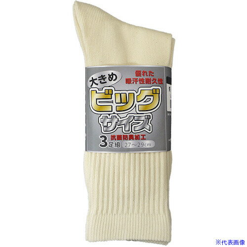 ���ٻΥ������� S��261 �ӥå���������� ���ʥ� (3­��) 1098(4698888)[�������Ӥ����Ѥ�][ˡ�͸���][�ǳ����]