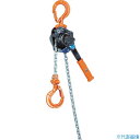 ■象印 レバーホイスト・0.5t・2m(YAD-00520) YAD00520(4756851)