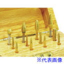 ■ナカニシ チタンコート超硬カッターセット 12本入 軸φ3 28111(4764293)