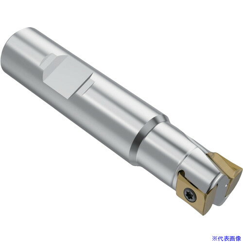 オレンジブック トラスコ中山　TRUSCOセコ フライス スクエアT4 カッター 〔品番:R217.942525.3084A〕[ 注番:4898847]特長●立壁の荒加工に最適です、非常に大きな切りくず排出量が期待できます。●SQUARE T4 は、粗加工および中仕上げ加工用に作られており、4つの切れ刃と革新的なインサート縦置き設計を備えています。●これにより、インサートとカッター本体の接触面が増加し、溝加工、コンタリング加工、プランジング加工での仕上げ面精度が良好になります。仕様●APMXS(mm)：8.0●DC(mm)：25.0●LF(mm)：69.0●インサート：LOEX08..●APMXE(mm)：2.0●DMM(mm)：25.0●KAPRS°：90●LPR(mm)：45.0●LUX(mm)：28.9●OAL(mm)：101.0●RPMX：16500●ZEFP：4●取り付け部形状：ウェルドン仕様2●Square T4 - R217．94−08 一メートル仕様材質/仕上セット内容/付属品注意原産国（名称）非公開JANコード本体質量0.37kgオレンジブック トラスコ中山　TRUSCOセコ フライス スクエアT4 カッター 〔品番:R217.942525.3084A〕[注番:4898847][本体質量：0.37kg]《包装時基本サイズ：210×60×60》分類》切削工具》旋削・フライス加工工具》刃先交換式工具☆納期情報：メーカー取り寄品（弊社より発送）