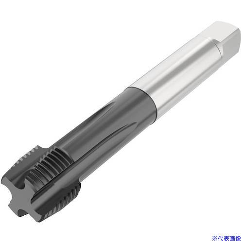 オレンジブック トラスコ中山　TRUSCOセコ ねじ切り工具 〔品番:T34PH21B09182812R〕[ 注番:4902054]特長●あらゆる用途に使用できるように設計された高速鋼 Threadmaster Tap は、幅広い被削材種に効果的にねじ穴を開けられます。この工具の特徴は高度なコーティング技術です。●一般的なノンコーティング品と比較して、最高350HBの鋼、ステンレス鋼、鋳鉄でより高い切削条件と生産量を達成できます。仕様●CZCMS：7.00×5.50●DCONMS(mm)：7.0●LF(mm)：85.51●LU(mm)：36●OAL(mm)：90.0●TCL(mm)：4.49●TD(mm)：9.728●THL(mm)：10.0仕様2材質/仕上セット内容/付属品注意原産国（名称）非公開JANコード本体質量0.04kgオレンジブック トラスコ中山　TRUSCOセコ ねじ切り工具 〔品番:T34PH21B09182812R〕[注番:4902054][本体質量：0.04kg]《包装時基本サイズ：120×20×20》分類》切削工具》旋削・フライス加工工具》刃先交換式工具☆納期情報：メーカー取り寄品（弊社より発送）