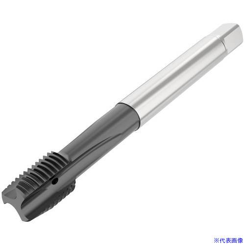オレンジブック トラスコ中山　TRUSCOセコ ねじ切り工具 〔品番:T34BPH02B0514X1.565R〕[ 注番:4902148]特長●あらゆる用途に使用できるように設計された高速鋼 Threadmaster Tap は、幅広い被削材種に効果的にねじ穴を開けられます。この工具の特徴は高度なコーティング技術です。●一般的なノンコーティング品と比較して、最高350HBの鋼、ステンレス鋼、鋳鉄でより高い切削条件と生産量を達成できます。仕様●CZCMS：11.00×9.00●DCONMS(mm)：11.0●LF(mm)：92.83●LU(mm)：71●OAL(mm)：100.0●TCL(mm)：7.17●TD(mm)：14.0●THL(mm)：15.0仕様2材質/仕上セット内容/付属品注意原産国（名称）非公開JANコード本体質量0.1kgオレンジブック トラスコ中山　TRUSCOセコ ねじ切り工具 〔品番:T34BPH02B0514X1.565R〕[注番:4902148][本体質量：0.1kg]《包装時基本サイズ：130×30×20》分類》切削工具》旋削・フライス加工工具》刃先交換式工具☆納期情報：メーカー取り寄品（弊社より発送）