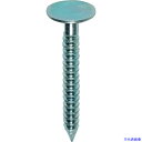 ■DAIDOHANT SPシングルネイル500g #11×32 00046874(4937899)