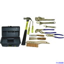 ■Ampco 防爆11ピース工具セット AMCM48(4985982)