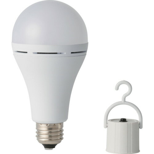 かりはな製作所 蓄電型LED電球 防災電球 昼白色 KS01WH 5301741 