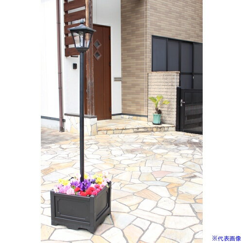 ��TASSCOM �ͳѤ�ȭ�դ������顼���� 1�� TAN7931(5455398)[ˡ�͸���][��ľ����]