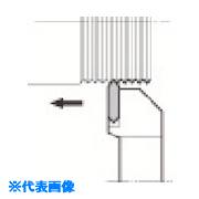  ¤ͤڤѥۥ KTT KTTL1010F16(5501679)[ӤѤ][ˡ͸][ǳ]