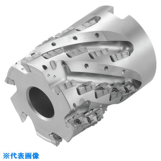 �������� MECH������ߥ� MECH100R1746T(5503566)[�������Ӥ����Ѥ�][ˡ�͸���][�ǳ����]