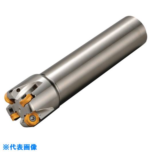 オレンジブック トラスコ中山　TRUSCO京セラ MRWエンドミル ウェルドンシャンク 〔品番:MRW32W32123T〕[ 注番:5506531]特長●両面8コーナ仕様で経済的です。用途●肩削り、平面削り加工用。仕様●適合チップ：ROMU1204仕様2●スクリュークランプ方式●ウェルドンシャンク●オイルホール付き材質/仕上セット内容/付属品注意原産国（名称）非公開JANコード4960664684717本体質量570gオレンジブック トラスコ中山　TRUSCO京セラ MRWエンドミル ウェルドンシャンク 〔品番:MRW32W32123T〕[注番:5506531][本体質量：570g]《包装時基本サイズ：360×50×50》〔包装時質量：645g〕分類》切削工具》旋削・フライス加工工具》刃先交換式工具☆納期情報：メーカー取り寄品（弊社より発送）
