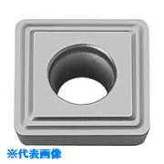 �������� �¤��ꥨ��ɥߥ�MEF���꡼���ѥ��å� SPMT-EZ KW10 SPMT090304EZ(KW10)(5530431)��10[�������Ӥ����Ѥ�][ˡ...