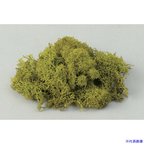 オレンジブック トラスコ中山　TRUSCOArTeC アイスランドモススプリンググリーン(47759) 〔品番:47759〕[ 注番:5767987]特長●グリーンアレンジメントに最適です。きれいな状態で長く楽しめます。仕様仕様2●プリザーブドモス10g材質/仕上セット内容/付属品注意原産国（名称）中国JANコード本体質量15gオレンジブック トラスコ中山　TRUSCOArTeC アイスランドモススプリンググリーン(47759) 〔品番:47759〕[注番:5767987][本体質量：15g]分類》園芸用品》緑化用品》園芸資材☆納期情報：オレンジブック掲載以外でメーカー直送品【法人限定＝会社名ご記入お願い致します。】