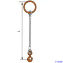 ■コンドーテック JISロック止ワイヤ 18mm 丸リング 環付きフック 3.2t 塗装 φ18×2M T03S・T25 05221RTFT182(612330...