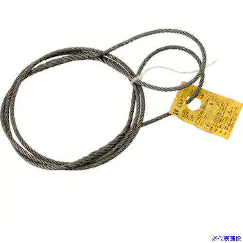 オレンジブック トラスコ中山　TRUSCOコンドーテック JISロック止玉掛ワイヤ(6×24)O/O φ16×3M 袋入り 〔品番:052B54OF163〕[ 注番:6123793]特長●JIS規格商品。仕様●全長(m)：3●スリング径(mm)：16●破断荷重（kn）：126.4　●アイ寸法（mm）：280x140　●使用荷重（垂直2本2点吊）（kn）：42仕様2材質/仕上●鉄セット内容/付属品注意●玉掛索のあみ込み部分およびアイ圧縮部は素線のヒゲが出ています。手袋を使用し、直接手で触れないで下さい。怪我をし危険です。原産国（名称）中国JANコード本体質量3.67kgオレンジブック トラスコ中山　TRUSCOコンドーテック JISロック止玉掛ワイヤ(6×24)O/O φ16×3M 袋入り 〔品番:052B54OF163〕[注番:6123793][本体質量：3.67kg]分類》荷役用品》吊りクランプ・スリング・荷締機》ワイヤロープスリング☆納期情報：オレンジブック掲載以外でメーカー直送品【法人限定＝会社名ご記入お願い致します。】