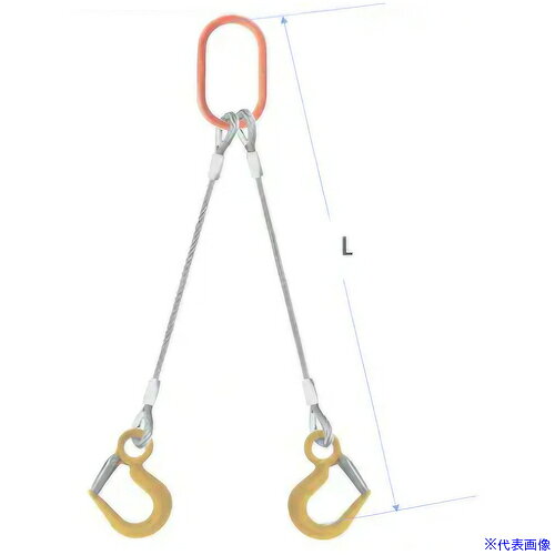 オレンジブック トラスコ中山　TRUSCOコンドーテック JISロック止ワイヤ 2点吊 12mm LSフック1.25t付 大型マスターリング付 φ12×2.5M LS1.25/K8W17 〔品番:05222PKFL122S5〕[ 注番:6124211]特長●JIS規格ワイヤーロープを使用し、アルミクランプ管による圧縮止め加工を行ったスリングです。●フックは安全なラッチタイプを使用しています。仕様●全長(m)：2.5●スリング径(mm)：12●30゜吊り(t)：2●60゜吊り(t)：2仕様2●クレーン等安全規則第219条適合品材質/仕上セット内容/付属品●マスターリンク：K8W17●フック：LSフック1.25t注意●吊り角度60°以内でご使用ください。原産国（名称）日本JANコード本体質量5.293kgオレンジブック トラスコ中山　TRUSCOコンドーテック JISロック止ワイヤ 2点吊 12mm LSフック1.25t付 大型マスターリング付 φ12×2.5M LS1.25/K8W17 〔品番:05222PKFL122S5〕[注番:6124211][本体質量：5.293kg]分類》荷役用品》吊りクランプ・スリング・荷締機》ワイヤロープスリング☆納期情報：オレンジブック掲載以外でメーカー直送品【法人限定＝会社名ご記入お願い致します。】