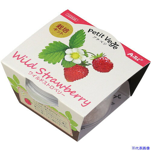 オレンジブック トラスコ中山　TRUSCOArTeC プチベジ ワイルドストロベリー(102926) 〔品番:102926〕[ 注番:6331510]特長用途●初心者でも簡単に育てられるミニサイズの栽培キット仕様仕様2●65x70x33mm材質/仕上●土、PP、種(ワイルドストロベリー)セット内容/付属品●プラ容器、圧縮土、種注意原産国（名称）日本JANコード本体質量18gオレンジブック トラスコ中山　TRUSCOArTeC プチベジ ワイルドストロベリー(102926) 〔品番:102926〕[注番:6331510][本体質量：18g]分類》園芸用品》緑化用品》プランター☆納期情報：オレンジブック掲載以外でメーカー直送品【法人限定＝会社名ご記入お願い致します。】